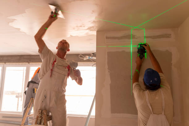 Best Mold Damage Restoration  in Marin City, CA